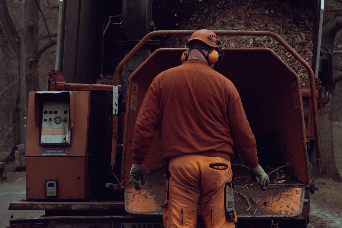 Worker feeding cut branches into the hopper of a towed wood chipper.