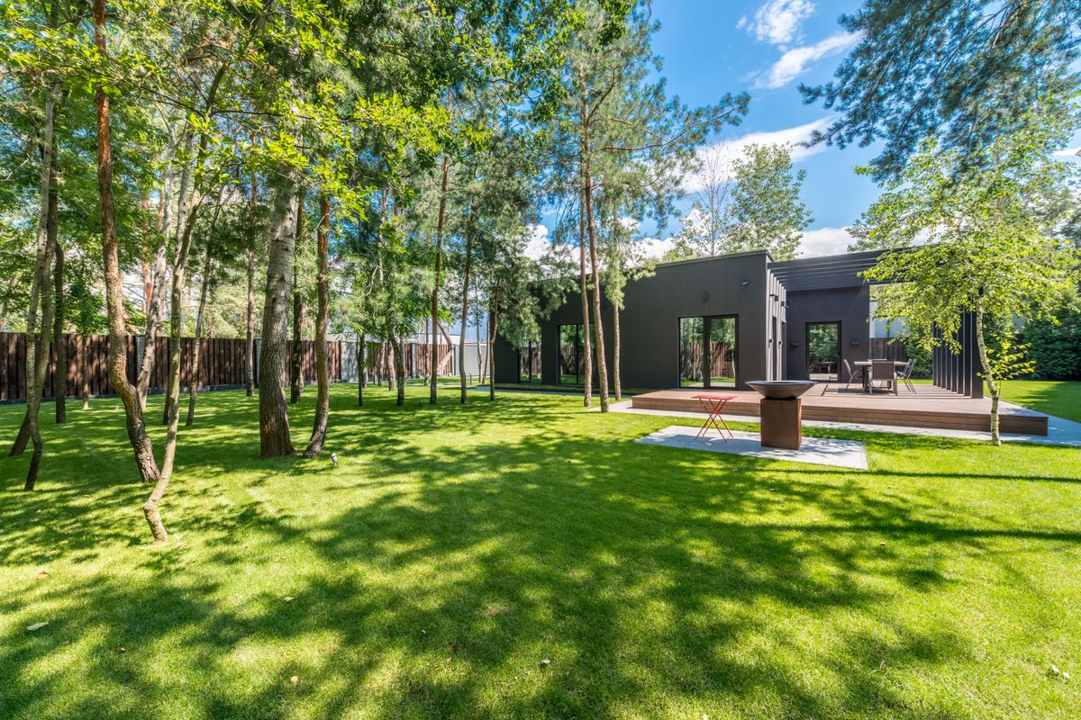Shaded lawn and planting beds under mature trees beside a modern house.